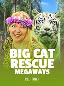 Big-Cat-Rescue-Megaways game thumbnail